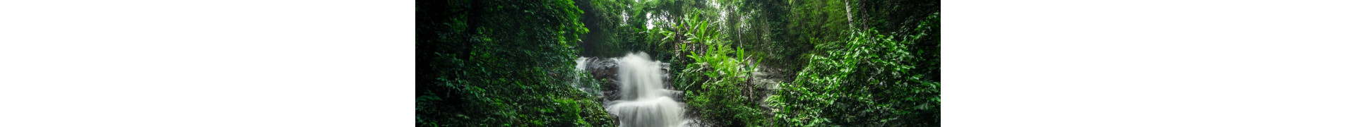 Sumatra Kratom