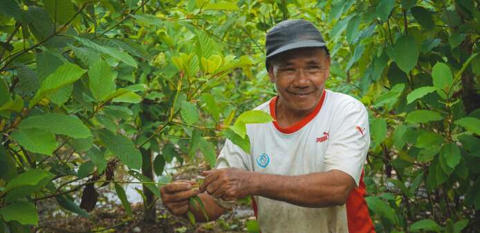 Kratom farmer among his plants