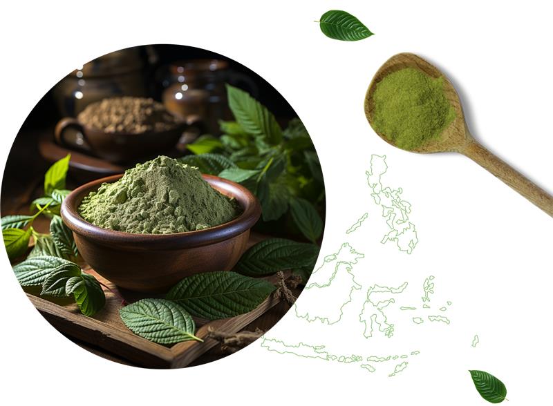 Ethical Sourcing