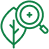 Botanical Research