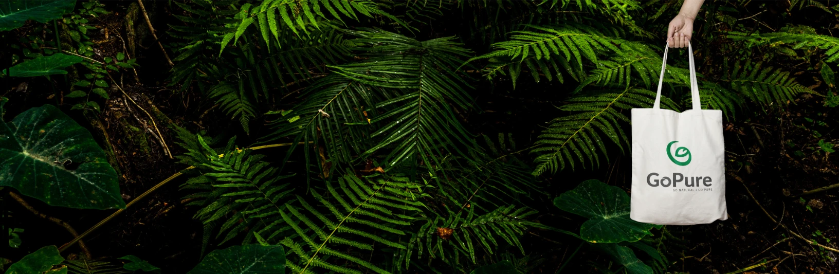 Slide background