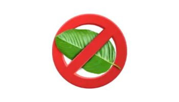Regulation Over Prohibition: Lessons from the Czech on Kratom